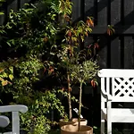 Summer Bliss With Vibrant Garden In Nodebohuse Hébergement de vacances