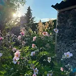 Summer Bliss With Vibrant Garden In Nodebohuse Hébergement de vacances