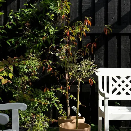 Summer Bliss With Vibrant Garden In Nodebohuse Holiday home