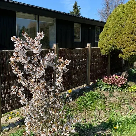 Summer Bliss With Vibrant Garden In Nodebohuse *