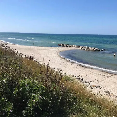 Summer Bliss With Vibrant Garden In Nodebohuse * Hundested